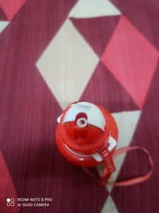 Sporty Stainless Steel Water Bottle