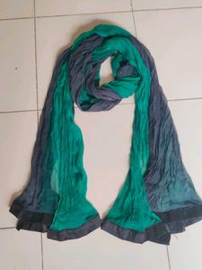 Beautiful Green and Grey Dupatta
