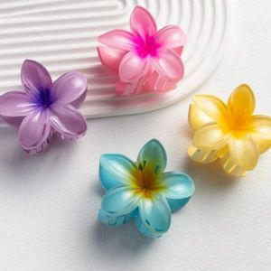Beautiful Hair Accessories Pack Of 4