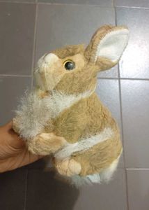 Cute Plush Rabbit Toy