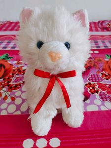 Cat Soft Toy 🐱