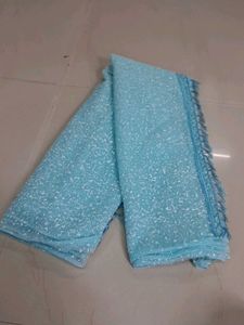 Beautiful Light Blue Saree