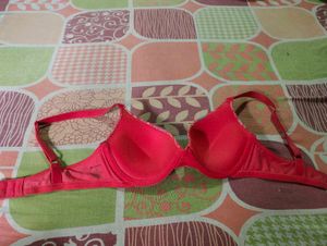 zivame padded comfortable bra