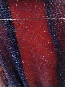 fancy Ombre dopatta / stole