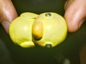 Cute Yellow Chick Figurine