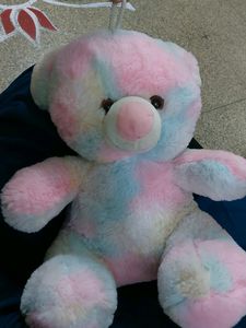 Cute Multi Color Teddy With Hanging Rope