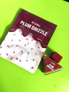 Zudio Plum Drizzle Lipstick Swatch
