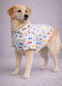 Dog shirt