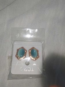 Elegant Blue Stone Earrings