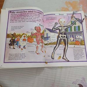 Children's Fun Book To Learn About HUMAN BODY