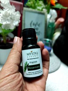 Mystiq Living Rosemary Set