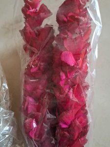 Dried Flower Arrangement Set
