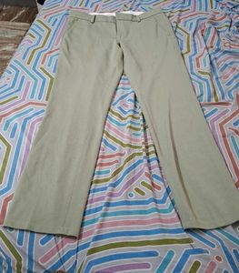 Formal pant