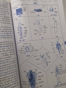 Saraswati Ladhu Chhatrakosh Dictionary