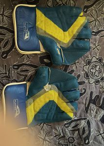 Cricket kit in MS Dhoni  large bag (no bat)