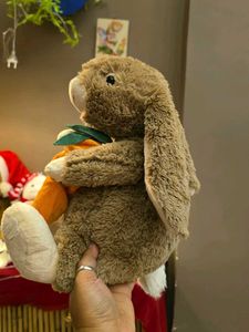 Cute Plush Bunny