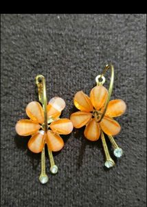 Combo of 2 earrings