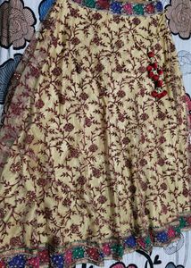 Lehenga (Discount For Today Only)