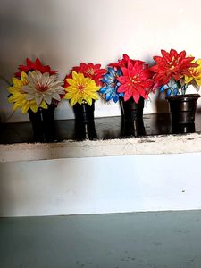 4 Showcase Flowers