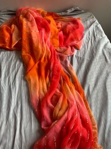 Vibrant Ombre Beaded Saree