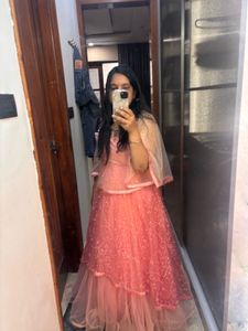 Elegant Peach Embellished Lehenga Set