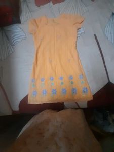 Orange Kurta with Blue Floral Embroidery