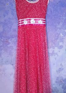 Net Pink Gowns