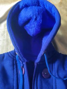 Adidas Blue Hooded Jacket
