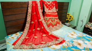 beautiful bright red fish cut heavy bridal lehanga