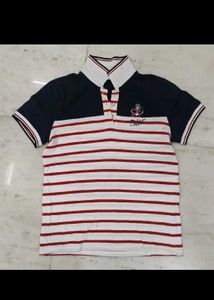 Combo of 10 Men's T Shirts