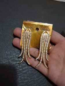 Sparkling Dangle Earrings