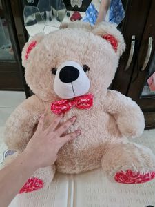 Big Teddy Bear Soft Toy