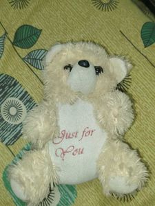 Cute Cream Teddy Bear
