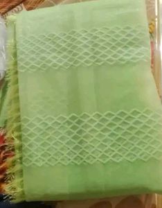 Light Green Embroidered Saree