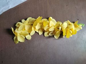 I Want To Sell Hair Gajra