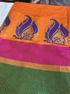 Vibrant Orange Saree with Paisley Border