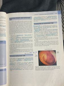 Diseases of Ear, Nose, Throat &amp; Head and Neck