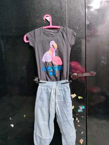 Cute Flamingo T-Shirt & Pants Set