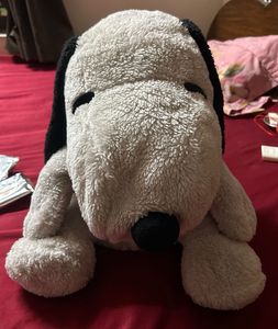 soft toy dog