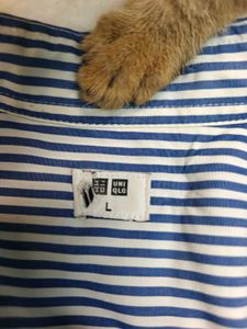 Uniqlo Classic Striped Button-Up Shir