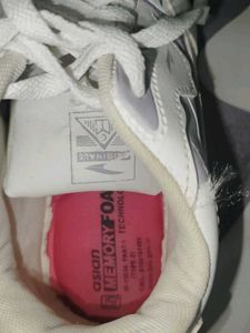 casual and sports shoe