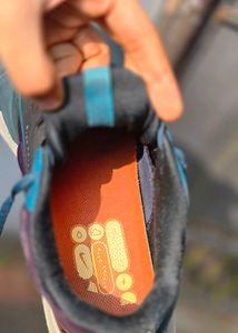 Nike Zoom Pegasus 39 shield