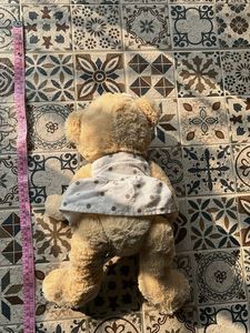 Teddy Bear Stuffed Toy