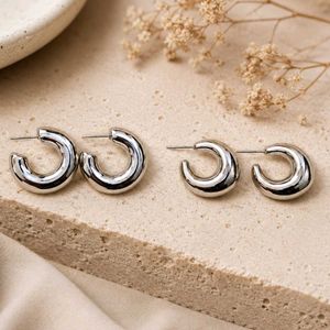 Chunky Hoop Earrings Set of 2