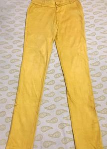 Yellow Pant For Women
