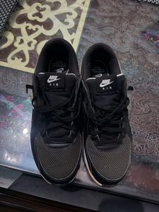 Nike Air Max Sneakers