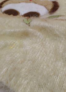 Very Beautiful Woolen Furry Top