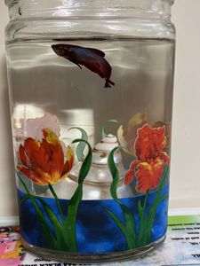 Printed Oval Tank For Fighter Fish