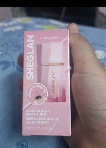 SHEGLAM Lip gloss and liquid blush