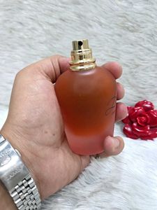 Dolce &amp; Gabbana Rosa Excels For Women